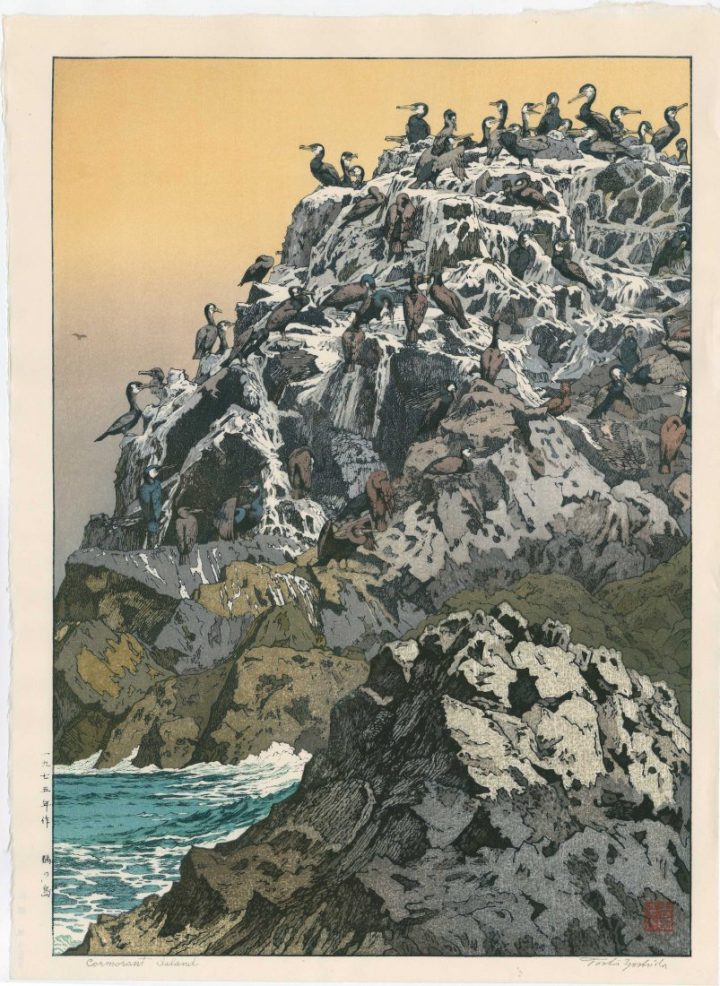 toshi-yoshida-cormorant-island-1975