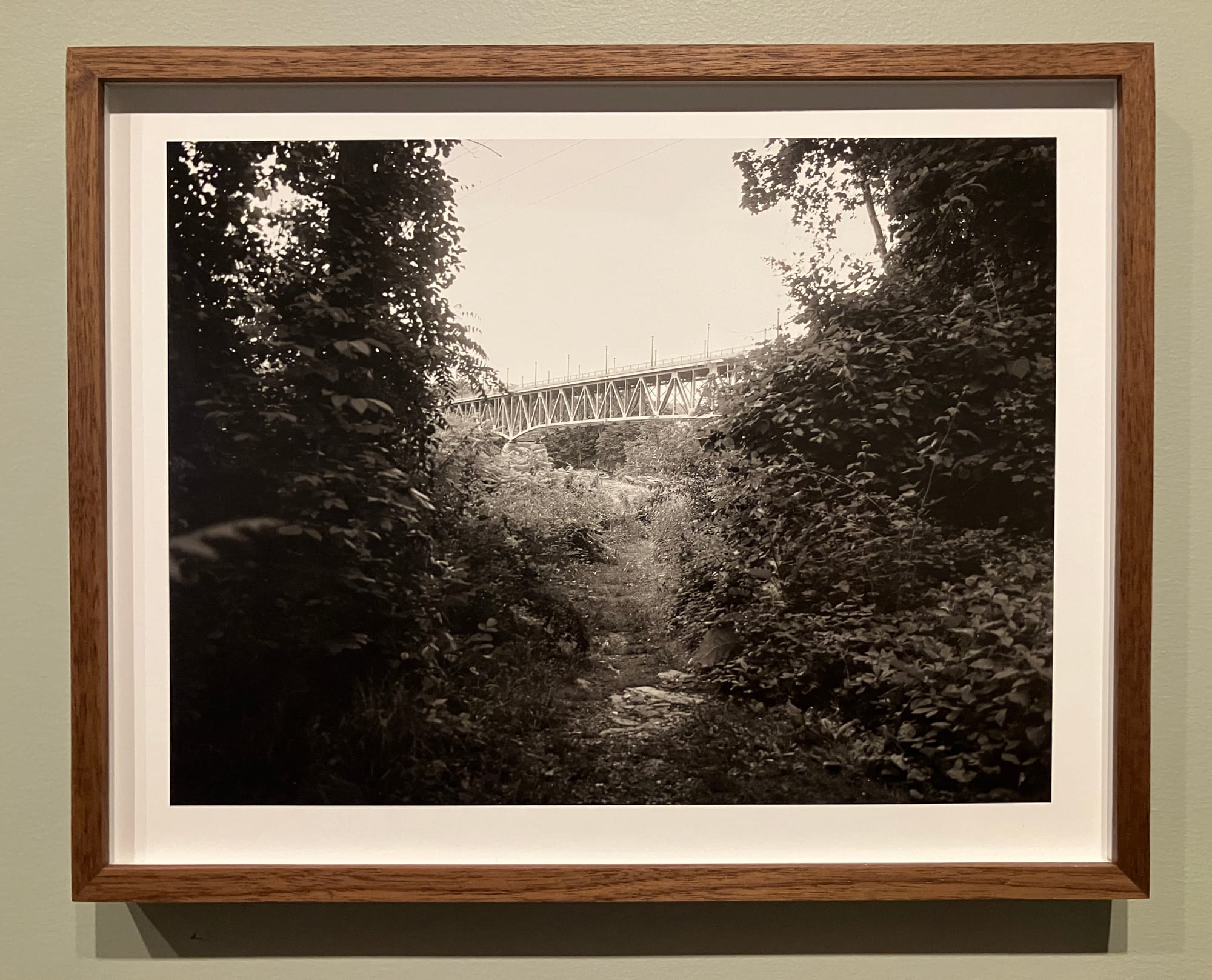 Ocean Vuong Is a Legitimately Good Photographer