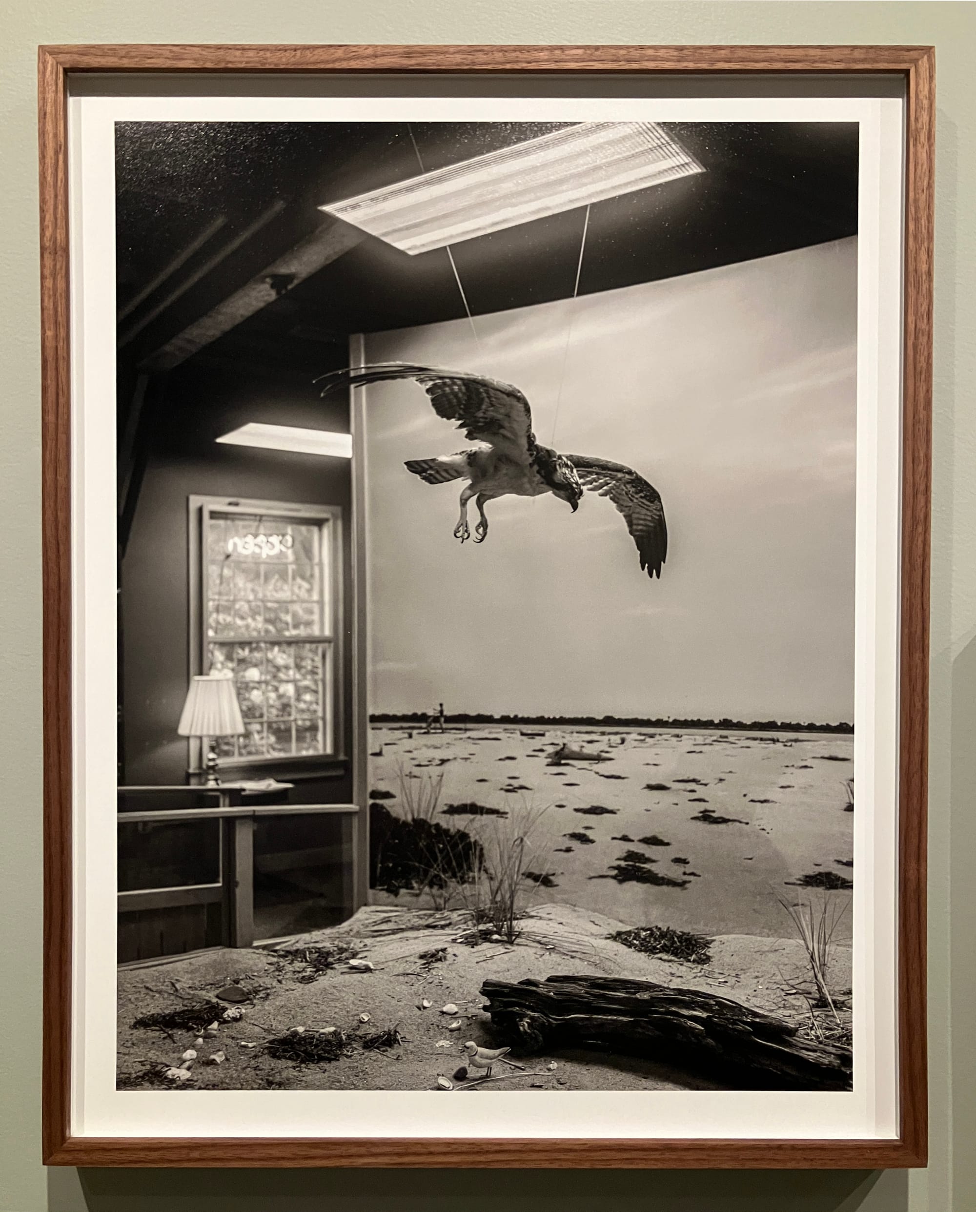 Ocean Vuong Is a Legitimately Good Photographer