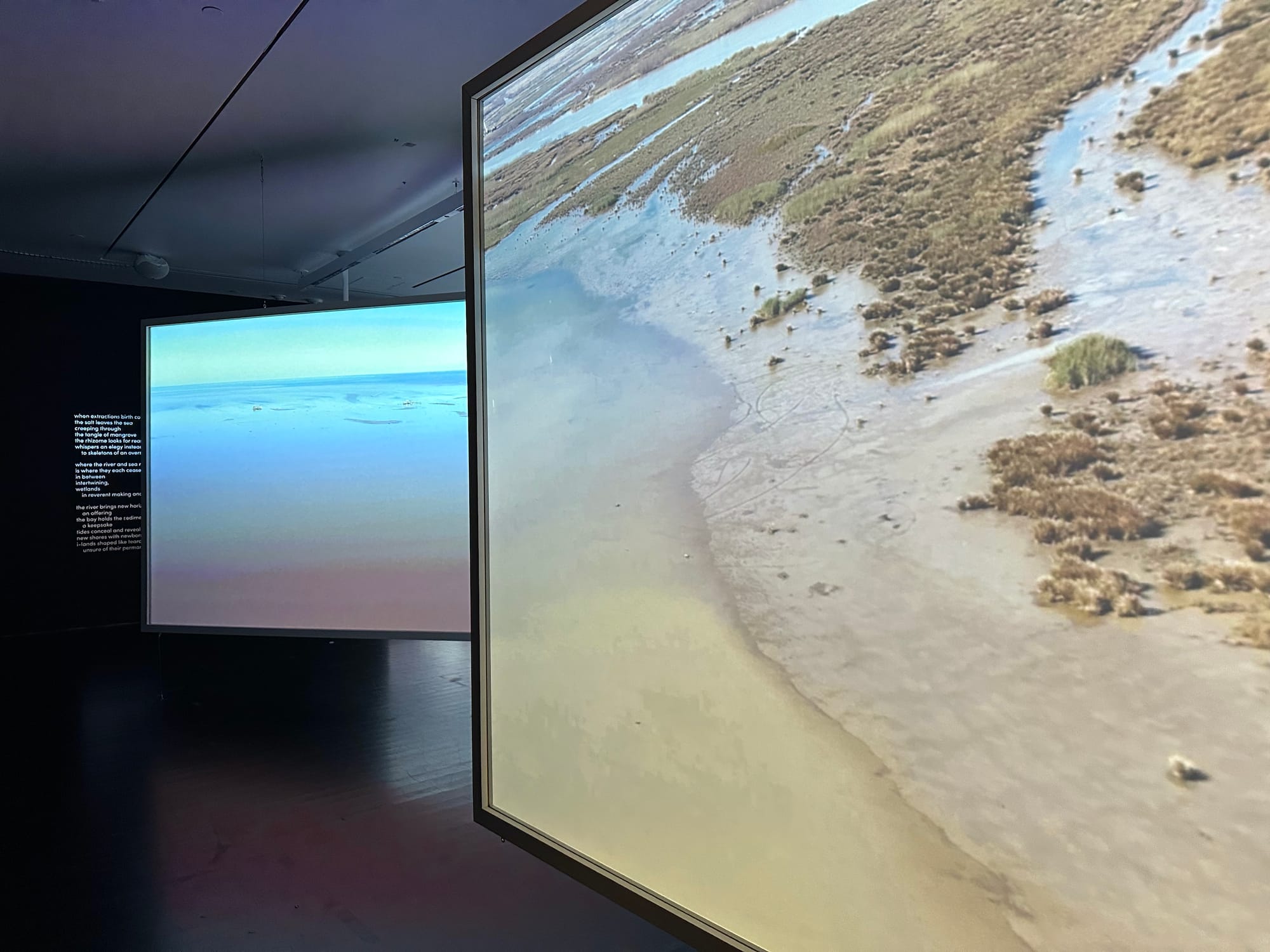 Deborah Jack’s Immersive Elegy for Water