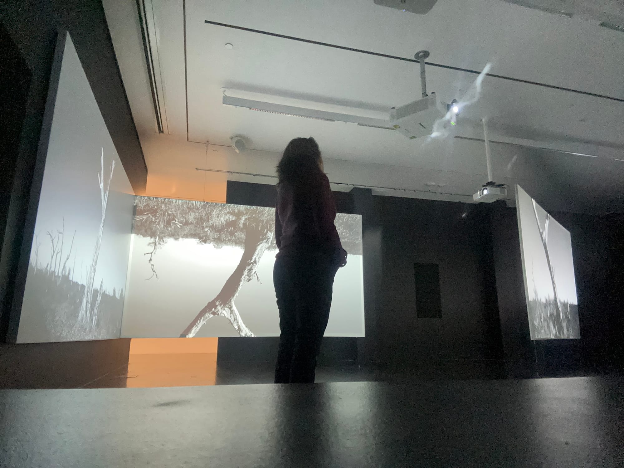 Deborah Jack’s Immersive Elegy for Water