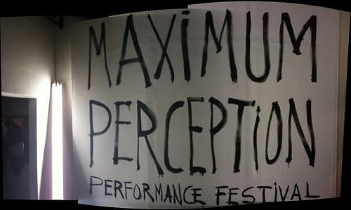 Maximum Perception Title