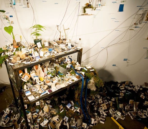 A detail of Sarah Walko's installation "Walking Up a Down Room" (2008) (click to enlarge)