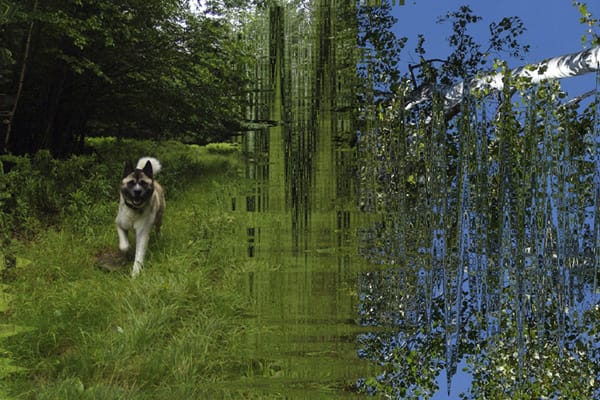 ecoarttech_hyperallergic0600