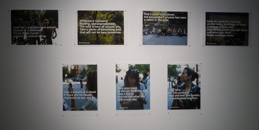 Indeterminate Hikes+ featured a series of prompts for participants. Click to enlarge.