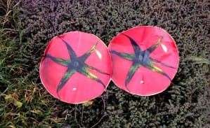 Tomatoes designed by Bora Shin are the size of pixels photographed by satellites as they pass overhead. Image courtesy the artist.
