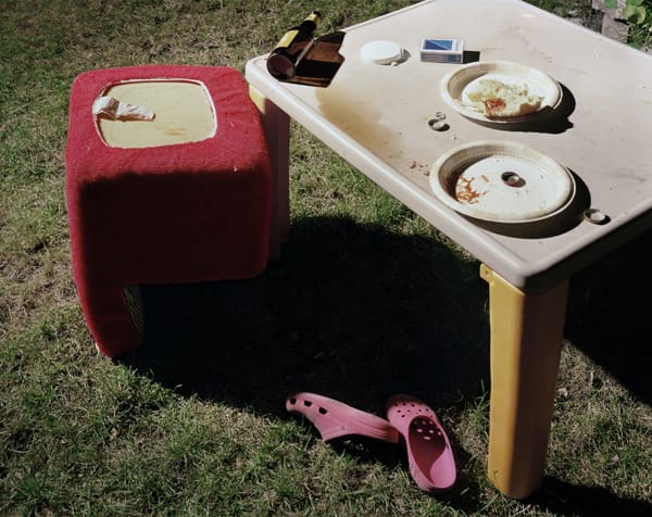 Anna Shteynshleyger, "Picnic"