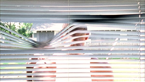 Allora & Calzadilla "A Man Screaming Is Not a Dancing Bear"