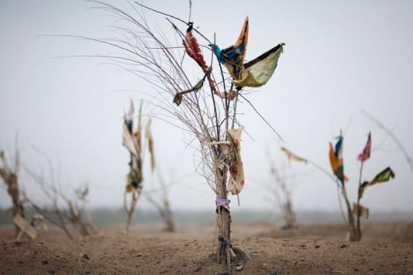 Black Garden (An Offering), 2009.