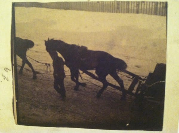 George Hendrik Breitner, "Horses seen from above"