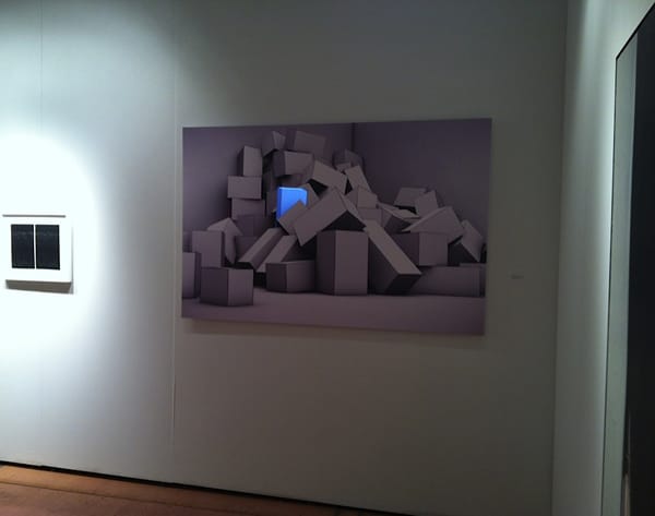 Joanie Lemercier installation