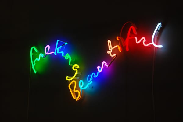 Tim Noble & Sue Webster, “fuckingbeautiful” 