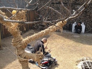 Xingrui_beijing gave A Chang a pear, and he hung it up on the tree. He can only use sign language to interact with the audience.
