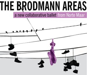 BrodmannAreas The Brodmann Areas