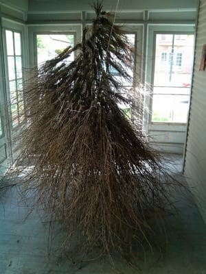 Chris Carl, "Untitled"