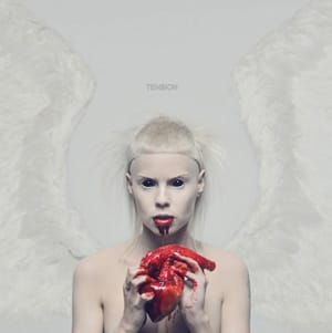 dieantwoord-300