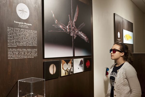Installation view of the Center for PostNatural History in "Intimate Science"