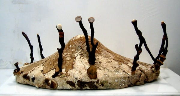 Philip Ross, "Pure Culture: Ganoderma lucidum fungus"