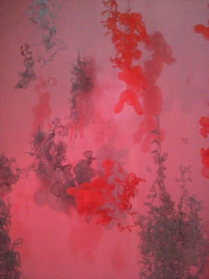 Caroline Cox, "Orangeblueorange"