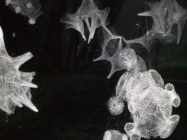 Caroline Cox, "Spin"