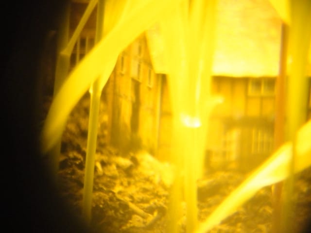 Rob Carter, "Faith in a Seed" 2012 (view through the peep hole) (photograph by author)