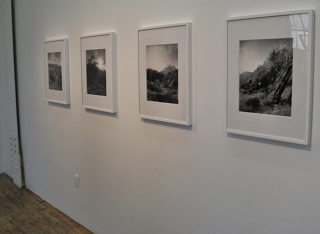 7323924414_d1bd8eeba6_z