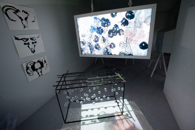 Joan Jonas, "Reanimation"