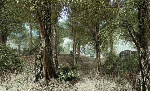 Photograph by Mark Tribe