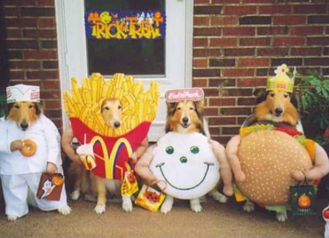 Fast food dogs. Image from jenn-eric.blogspot.com.