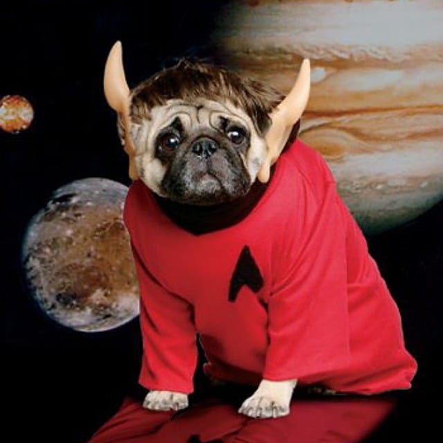 Star Trek dog, with great backdrop. Image from bestblastr.com.