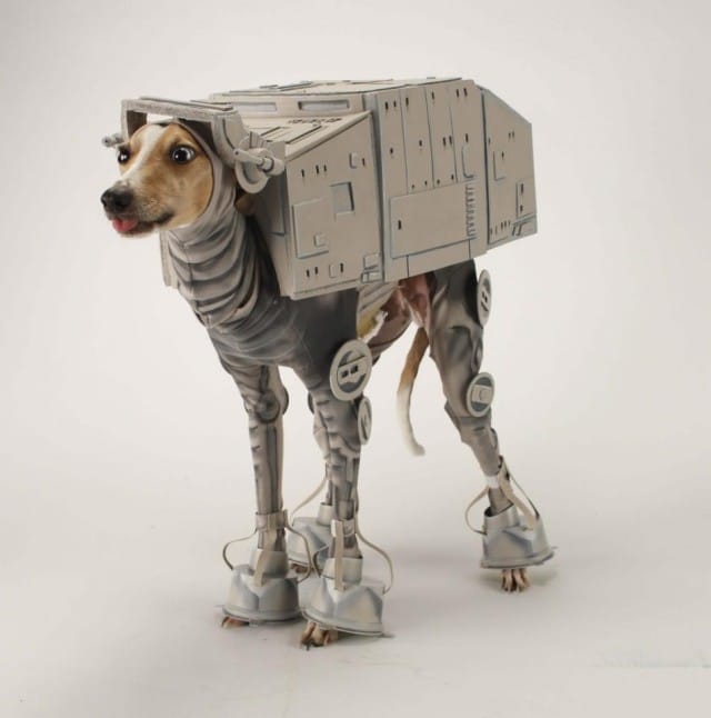 Star Wars robot dog. Image from gadgetsin.com.