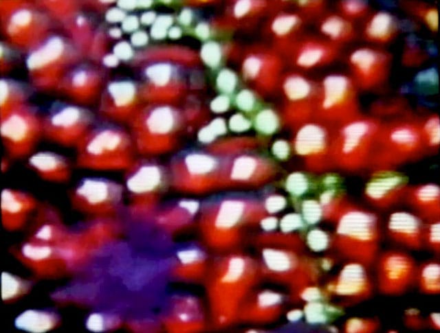 Still from Yayoi Kusama’s “Self-Obliteration”