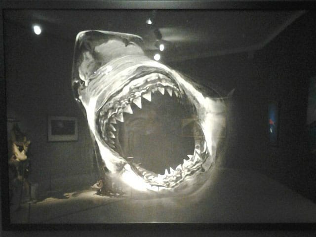 Robert Longo, "Untitled"