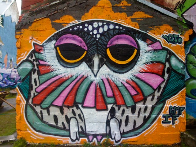 My first wild animal sighting in Reykjavik.