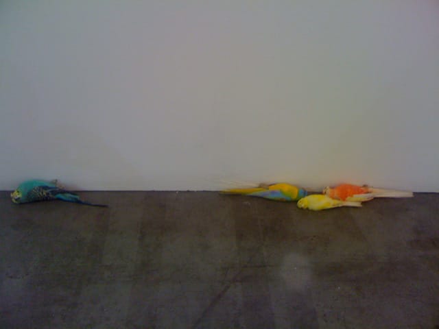 Detail of Vanessa Safavi, "Each color is a gift for you"