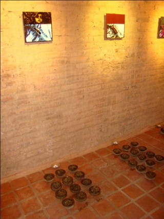 Sadish Dhakal, “Jamara Might Not Exist” (2012)