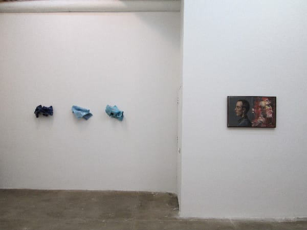 Devon Costello and Emily Weiner, Le mari mis à nu, 2012