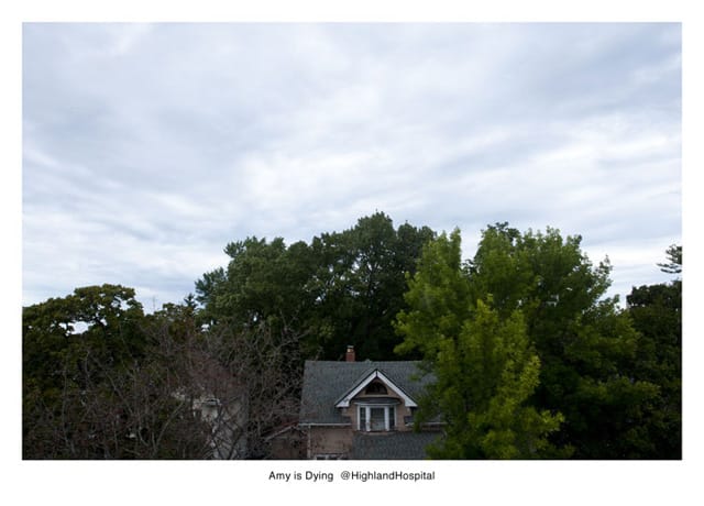 geolocation_amyisdying