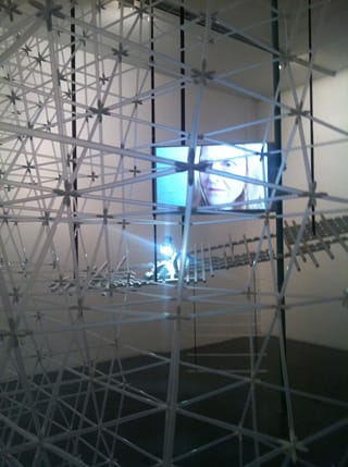 Julie Favreau's "Anomalies" seen through Patrick Martinez's LINX