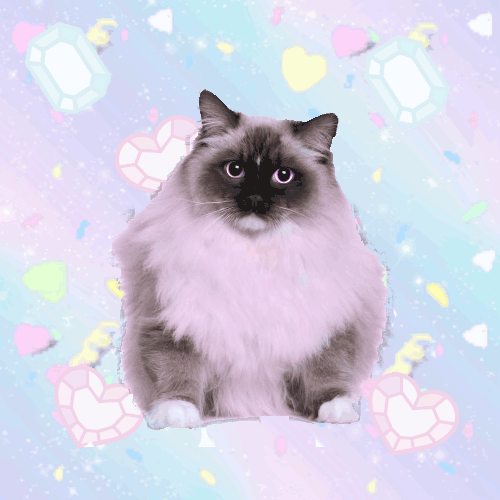 Image from Kate Durbin's "Woman as Objects"