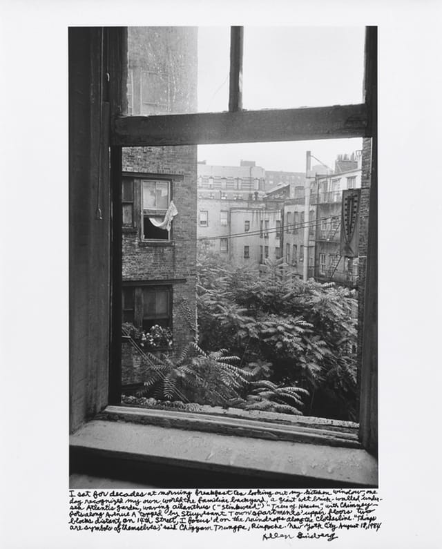 Allen Ginsberg, "I sat for decades at morning breakfast tea looking out my kitchen window, one day recognized my own world the familiar background, a giant wet brick-walled undersea Atlantis garden, waving ailanthus (“stinkweed”) “Trees of Heaven,” with chimney pots along Avenue A topped by Stuyvesant Town apartments’ upper floors two blocks distant on 14th Street, I focus’d on the raindrops along the clothesline. “Things are symbols of themselves,” said Chögyam Trungpa Rinpoche. New York City August 18, 1984," (1984) Gelatin silver print, printed 1984–97 16 1/2 x 11 in. (42 x 28 cm)