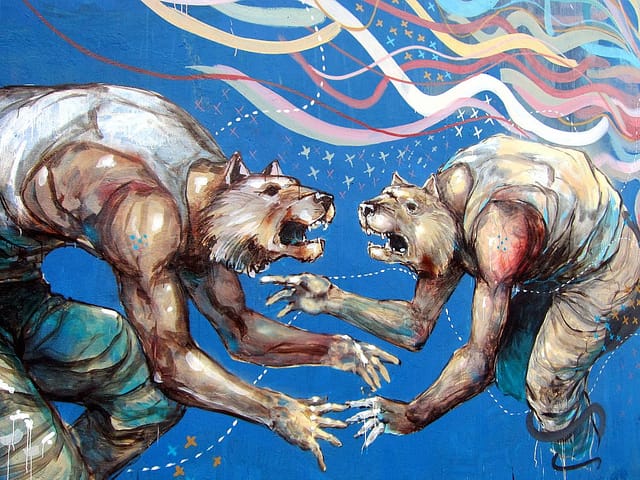 Fighting cats by Jaz