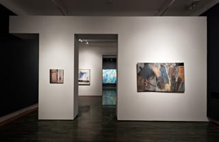Installation view, "Richard Pagán: Figures in Flight" at the Puerto Rico Museum of Contemporary Art (click to enlarge)