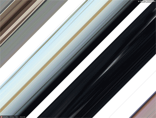 A GIF that demonstrates part of the effect of scrolling through Takeda Hirozumi’s “Thirozumi" tumblelog. (GIF by Hrag Vartanian/Hyperallergic)