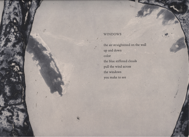 A Page from Sarah Plimpton's Doubling Back