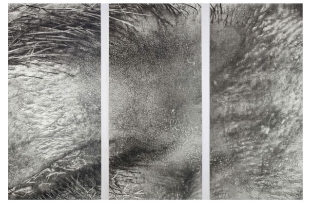 Cynthia Lin, "Crop1aAsideEyeEA" (2009) (All images courtesy Garis & Hahn)
