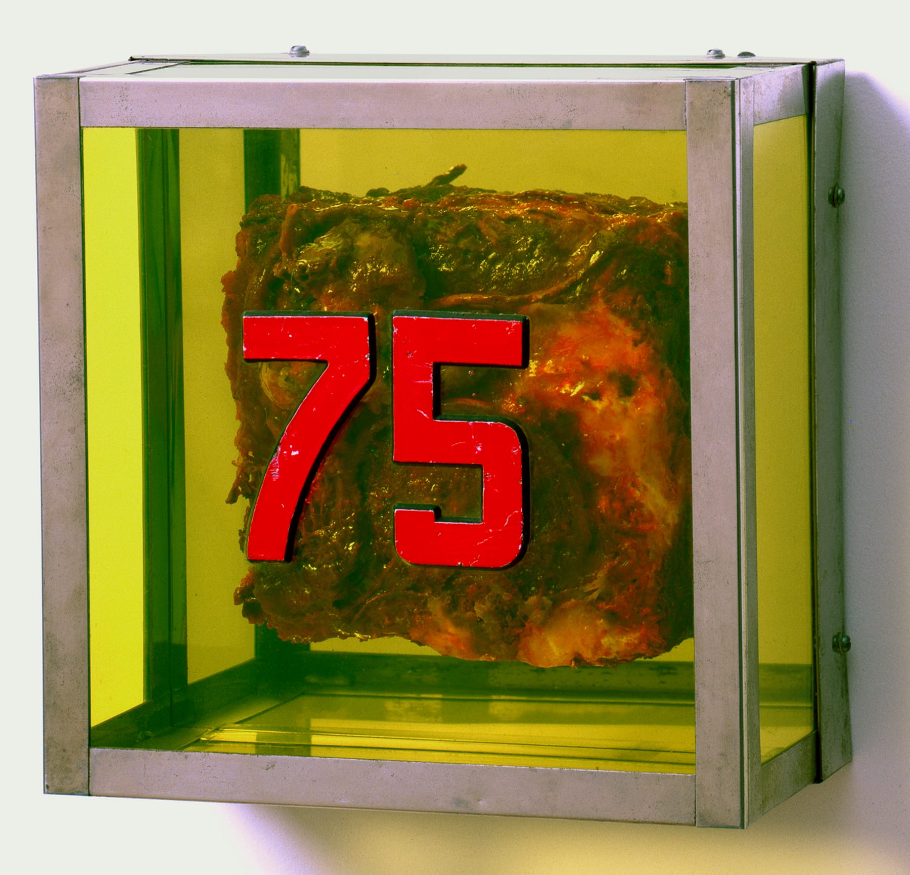 Paul Thek, Untitled #75, 1964, Wax and Plexiglas (Watermill Center Collection)