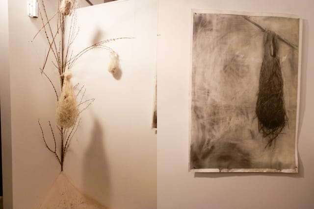 Two portions o Brittany Alexandria Fields's installation Drawn Matter