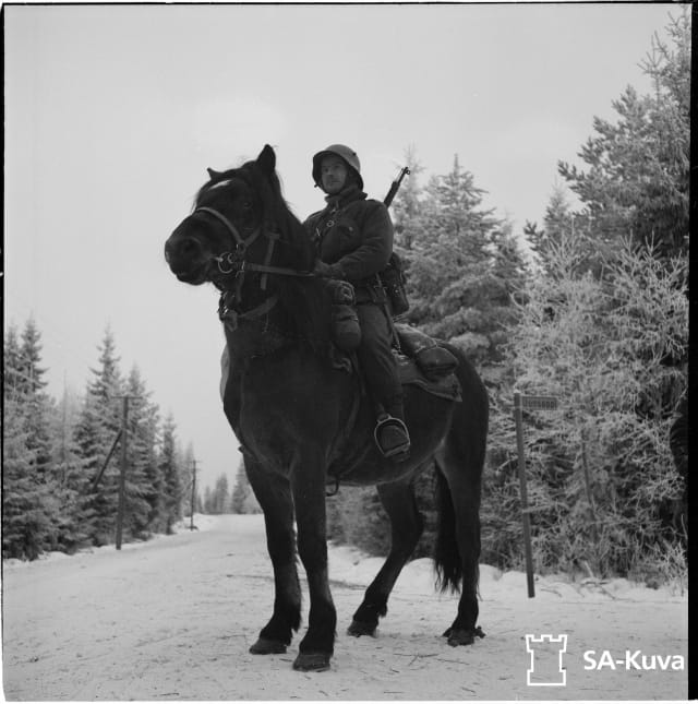Cavalry soldier in winter.