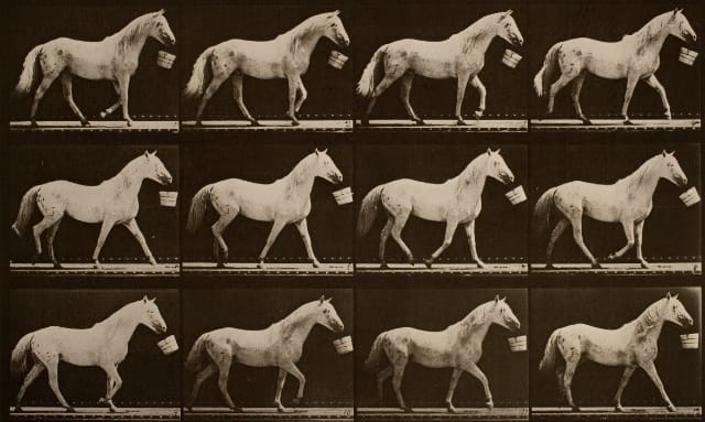 George Eastman House